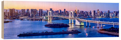 Cuadro de madera Rainbow bridge in Tokyo