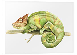 Tableau en aluminium Caméléon