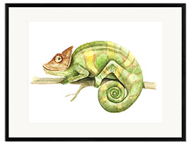 Impresión de arte enmarcada Chameleon