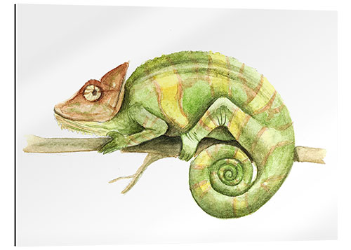 Gallery print Chameleon