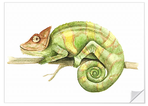 Selvklebende plakat Chameleon