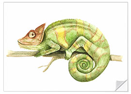 Naklejka na ścianę Chameleon