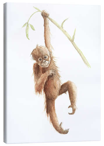 Canvas print Monkey