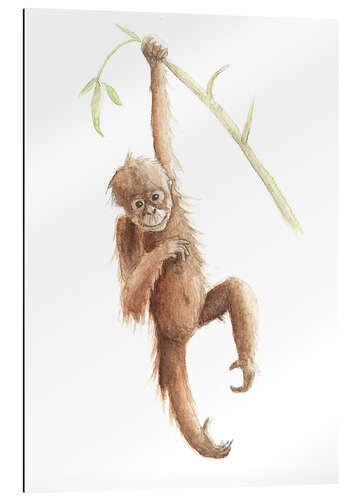 Gallery print Monkey