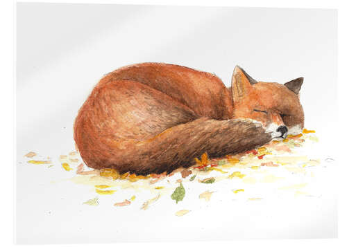 Acrylic print fox