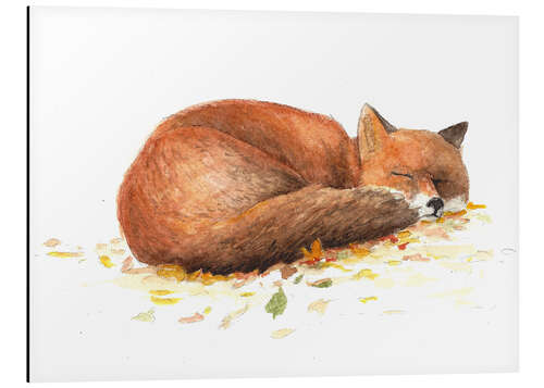 Aluminium print fox