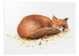 Foam board print fox