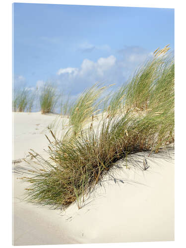 Quadro em acrílico dunes