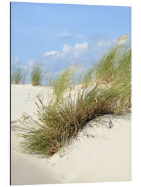 Magnettafel In den Dünen