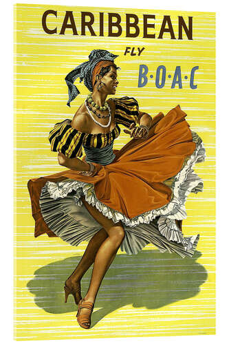 Quadro em acrílico Caribbean Fly BOAC