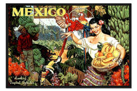 Gerahmter Kunstdruck Mexiko