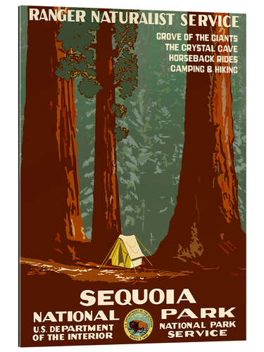 Galleriprint Sequoia National Park