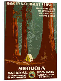 Galleriprint Sequoia National Park