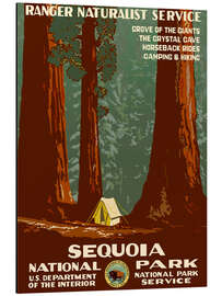 Magnettafel Sequoia National Park 