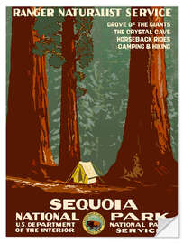 Sticker mural Parc national de Sequoia (anglais)