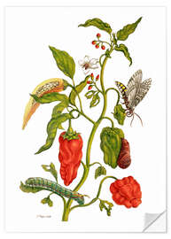 Wall sticker Peppers and insects