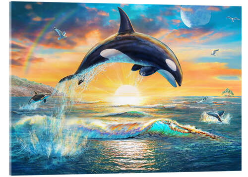 Acrylic print Orca dawn