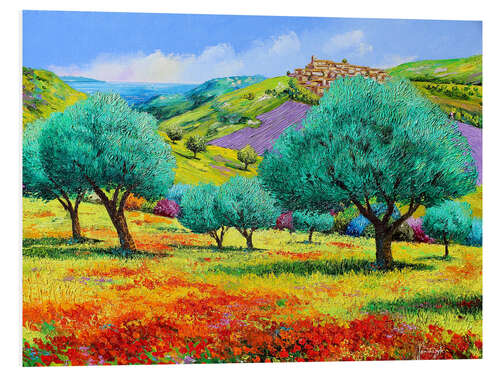 Foam board print 24460 Olive grove facing the sea Kopie