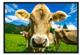 Gerahmter Kunstdruck Lustige Kuh