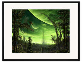 Gerahmter Kunstdruck Drachenlibellen