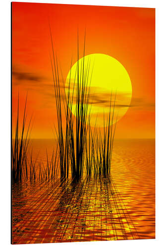 Aluminium print Sunset