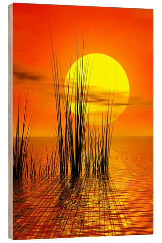 Quadro de madeira Sunset