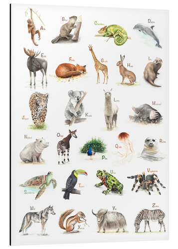 Aluminium print The ABC of animals (German)