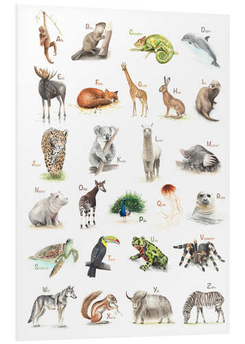 Foam board print The ABC of animals (German)