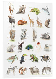 Foam board print The ABC of animals (German)