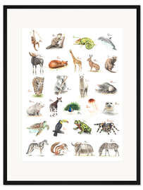Gerahmter Kunstdruck Das ABC der Tiere