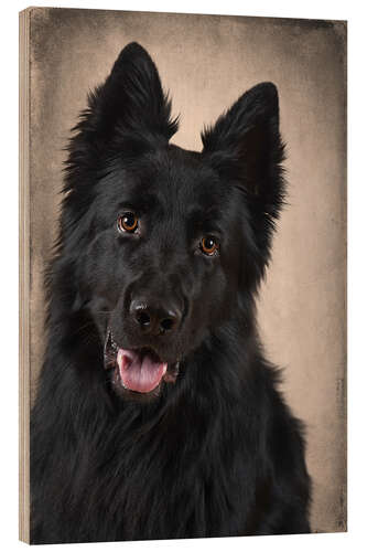 Hout print German Shepherd 1