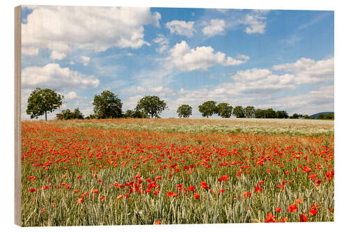 Quadro de madeira poppy flower