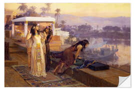 Sisustustarra Cleopatra on the terraces of philae