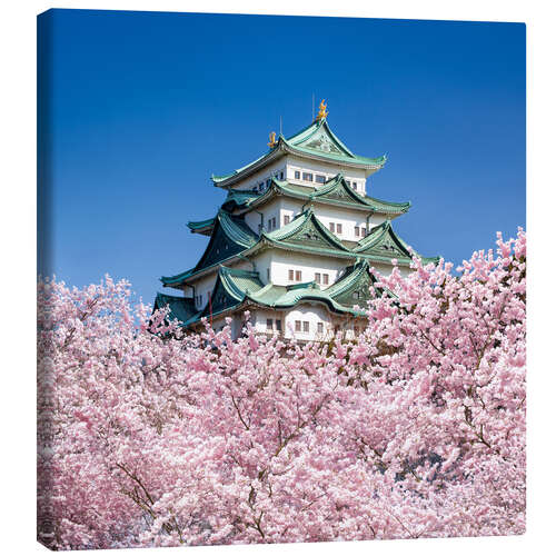 Canvas print Nagoya castle with cherry blossom in spring
