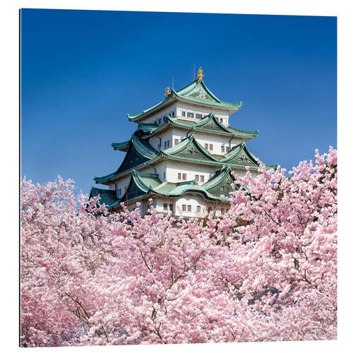 Tableau en plexi-alu Nagoya castle with cherry blossom in spring