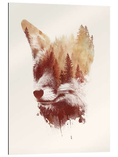 Gallery print Blind fox