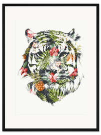 Gerahmter Kunstdruck Tropischer Tiger