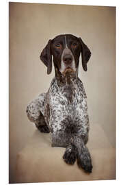 Foam board print German shorthaired pointer I