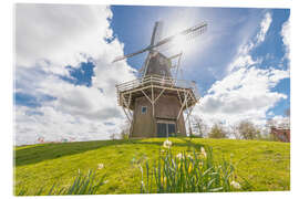 Acrylglasbild Windmühle in der Sonne