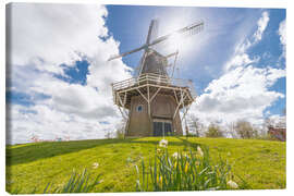 Lienzo Windmill in the sun
