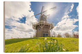 Obraz na drewnie Windmill in the sun