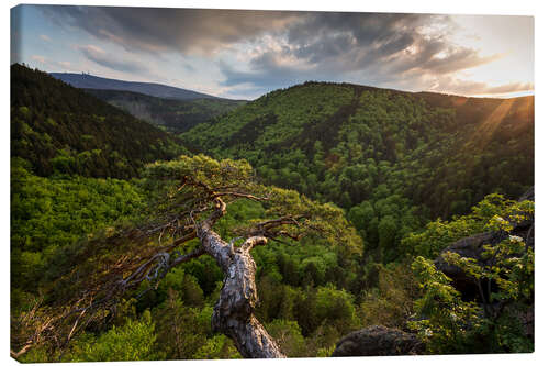 Canvas print Sunset Ilsestein / Harz