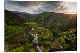 Gallery Print Sonnenuntergang Ilsestein / Harz