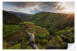 Sticker mural Sunset Ilsestein / Harz