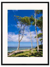 Kunsttryk i ramme Coastal forest on shore of the Baltic Sea