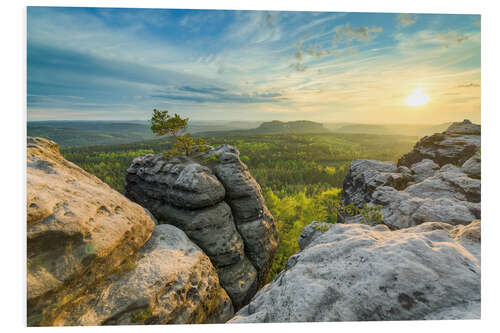 Foam board print Sunset on Gohrisch in Saxon Switzerland