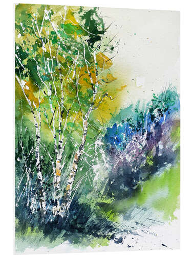 Foam board print Birches grove