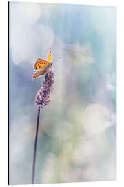 Magnettafel Nature does not hurry