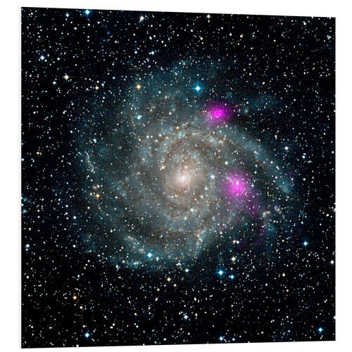 Foam board print Spiral galaxy IC 342, NuSTAR X-ray image