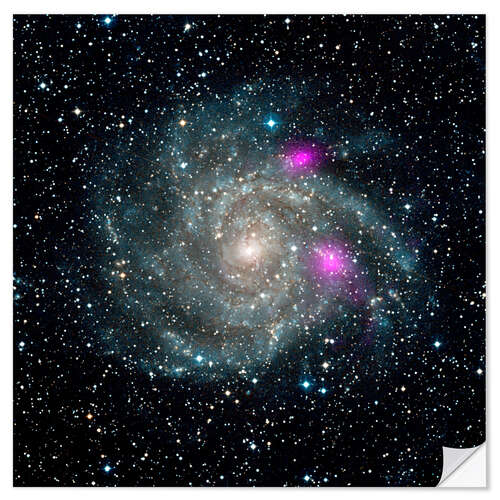 Wall sticker Spiral galaxy IC 342, NuSTAR X-ray image